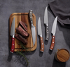 Pakka tr&aelig;h&aring;ndtag Series Steak Knive